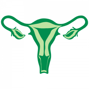 21658 - Curso de Atualização em Ginecologia Endócrina e Reprodutiva - Turma 3 - À Vista