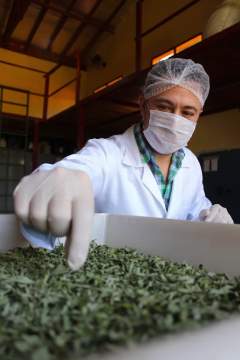 Especialização Fitoterapia HC Educa mais